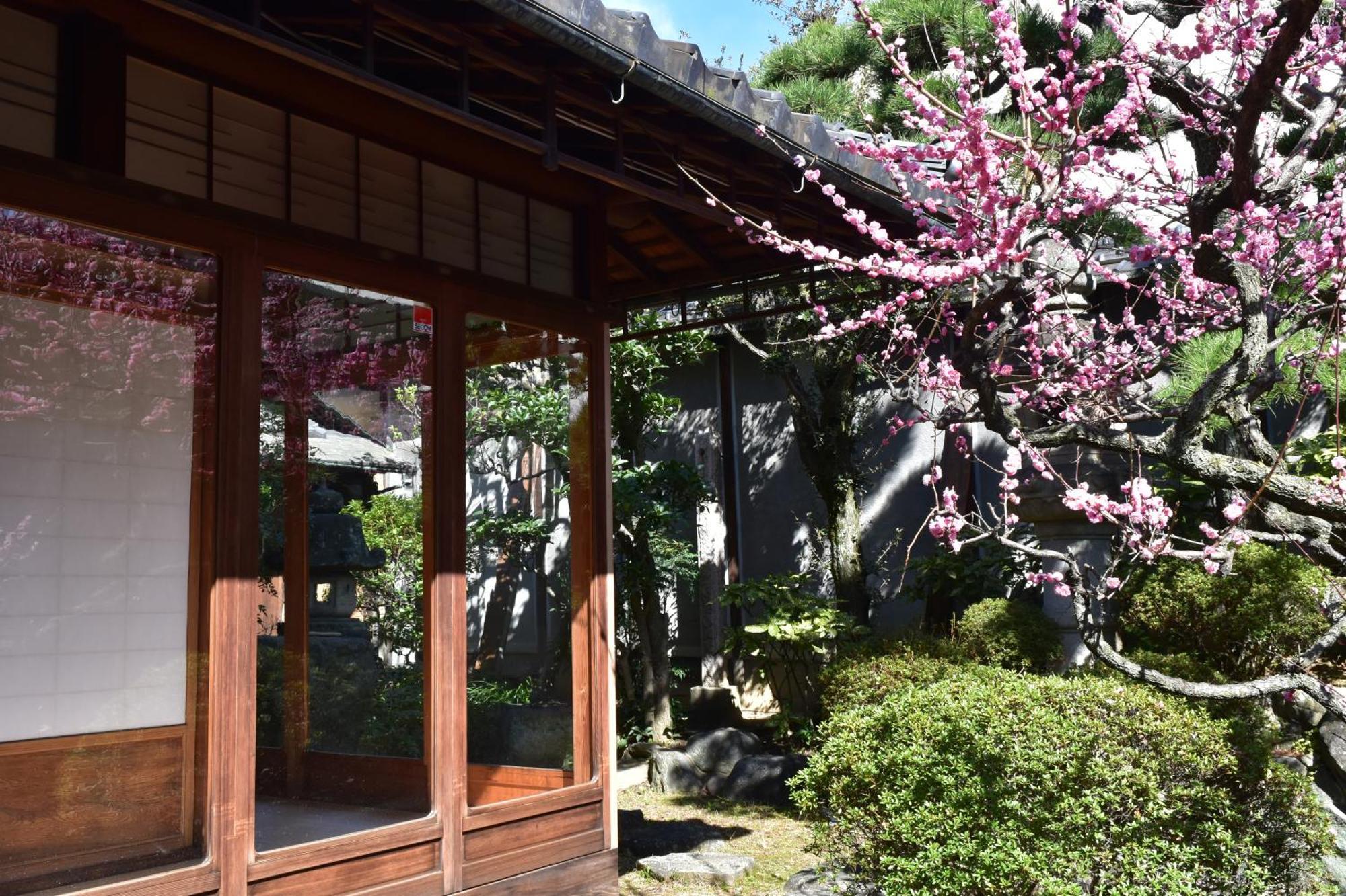 蔵の宿　櫻林亭 Sakurai Ngoại thất bức ảnh